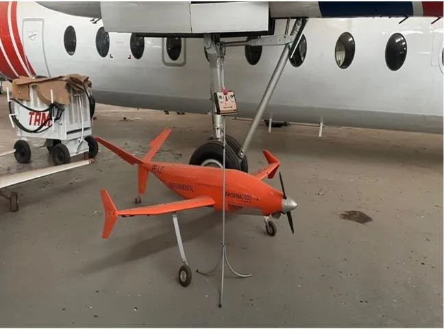Apoena 100